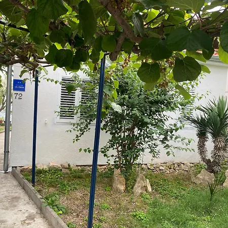 Sea House Bibinje